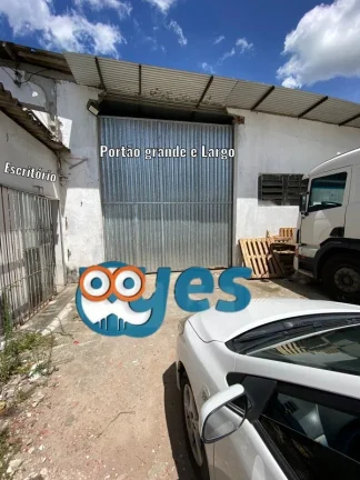 Imagem Galpão comercial no Cis - Tomba para Locação