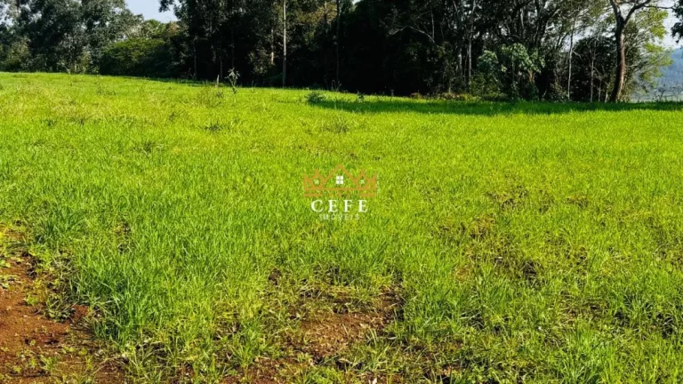 Imagem Chácara - Sítio com 1 Dormitorio(s) localizado(a) no bairro Zona Rural em Nova Hartz / RIO GRANDE DO SUL Ref.:1583