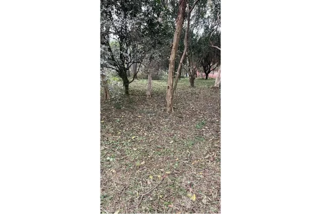 Imagem CMCF 2 Lote 612651033-85 - Terreno à venda no bairro Centro - Nova Santa Rita/RS