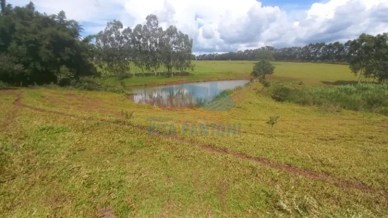 Imagem Rancho - Santo Antônio da Alegria - Poção