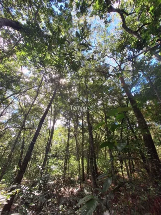 Imagem Chácara em Aragoiânia-GO