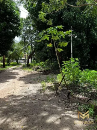Imagem Terreno à venda, 7315 m² por R$ 5.486.250,00 - Lagoa Redonda - Fortaleza/CE