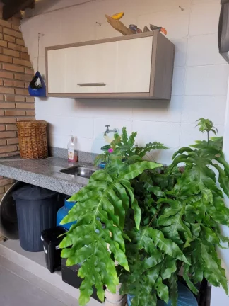 Imagem Casa junto ao Parque Cemucam e o Melhor da Granja Viana