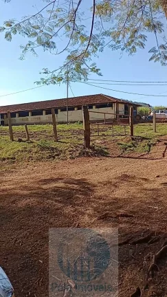 Imagem Fazenda Palmira 773 alqueires, a 60 km de Ribeirão Preto - SP, estrutura, cana e muita água - Serra Azul - SP - Brasil