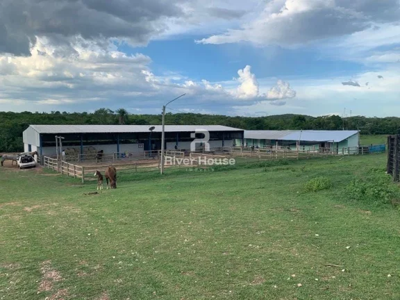 Imagem Fazenda 375 Hectares à venda, para Pecuaria localizada em Municipio de Nossa Senhora da Guia, MT