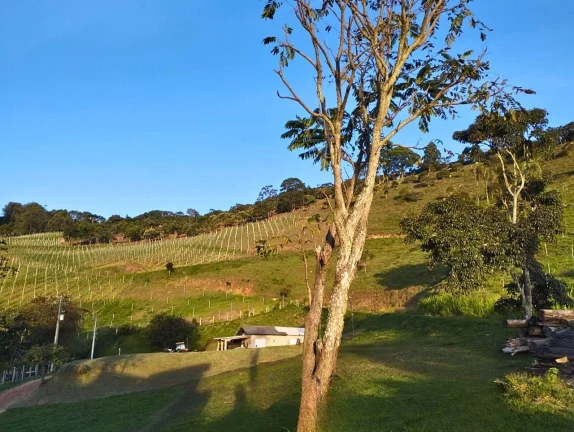 Imagem Legado e Exclusividade: Vinícola Particular no Alto da Boa Vista com 137.000 m² e Vista Panorâmica