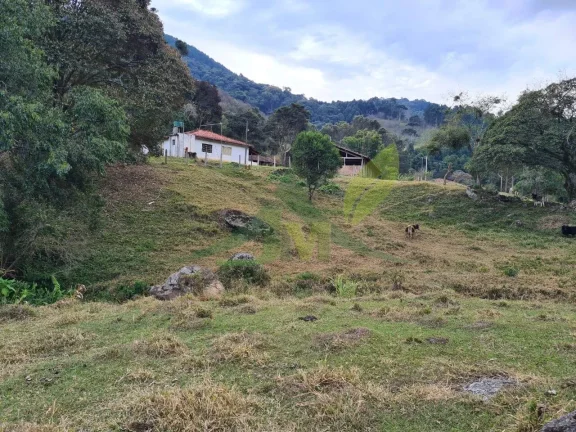 Imagem Lindo sítio à Venda em Piracaia