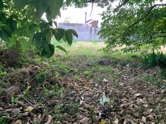 Imagem Terreno à Venda, Jurerê Internacional, Florianópolis, SC