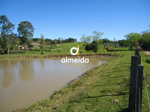 Imagem Chácara 3 dormitórios à venda Zona rural Restinga Seca/RS