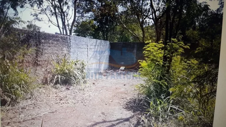 Imagem Chácara - Ribeirão Preto - Ipiranga - Região Norte