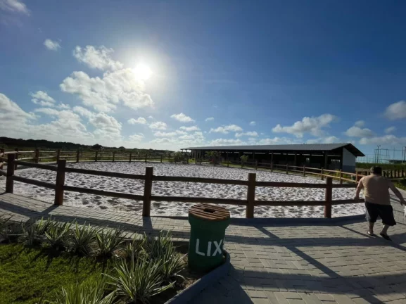 Imagem Lote no Fazenda Real Residence