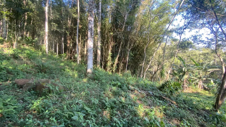 Imagem Terreno à venda em Garopaba-SC, bairro Ressacada, com 172.989,94 m² de área! Venha conferir!