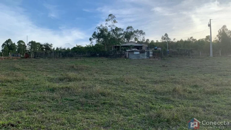 Imagem Sítio à Venda na Comunidade Caixetas – Guimarânia-MG | 11,9 Hectares com Casa de 186m² – R$ 700 Mil