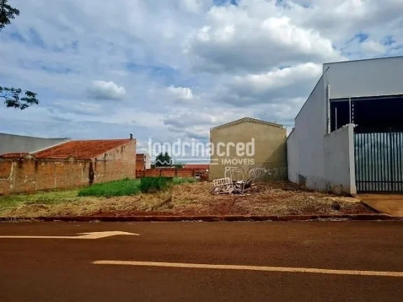 Imagem Oportunidade de investimento: terreno 12x35m próximo ao Aeroporto de Londrina, zoneamento ZE1.1, IPTU 2025 pago, sem pendências ou restrições.