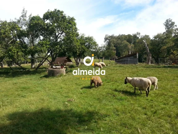 Imagem Chácara 2 dormitórios à venda Zona rural Santa Maria/RS