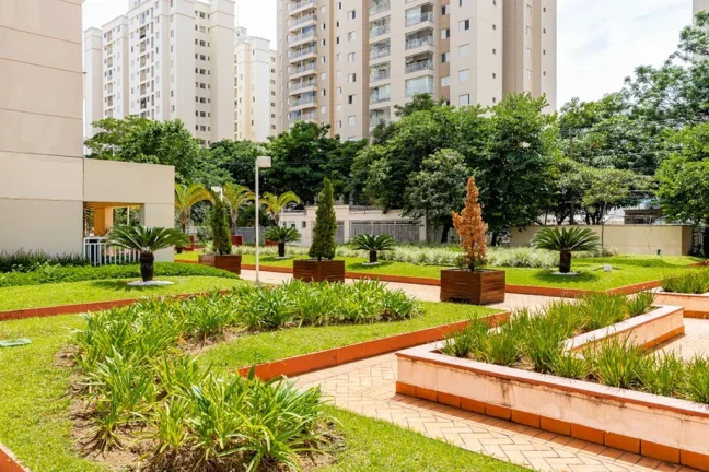 Imagem APARTAMENTO RESIDENCIAL em São Paulo - SP, Jardim Pereira Leite