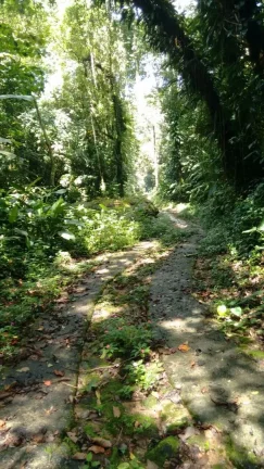 Imagem Terreno 30.000m² à Venda na Praia de Maresias - São Sebastião SP.