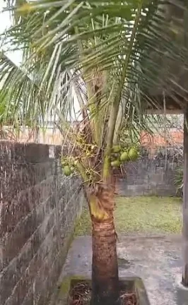 Imagem Casa para Venda em Itanhaém, Jamaica (Interior), 2 dormitórios, 1 banheiro, 2 vagas