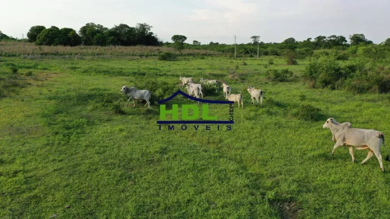 Imagem Fazenda 230 Alqs em Natividade do Tocantins