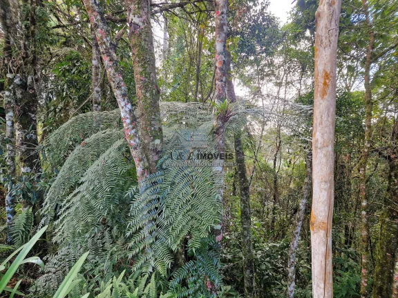 Imagem Terreno à venda em Campos do Jordão – Com vista para linda área verde