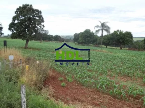 Imagem FAZENDA 24 ALQS CULTURÃO BEIRA RIO