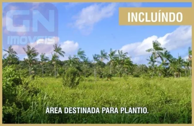 Imagem Fazenda para Venda em Castanhal