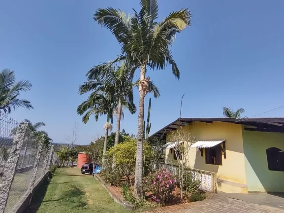 Imagem Chácara com 3 dormitórios à venda, 10 m² por R$ 1.200.000,00 - Taiacupeba - Mogi das Cruzes/SP