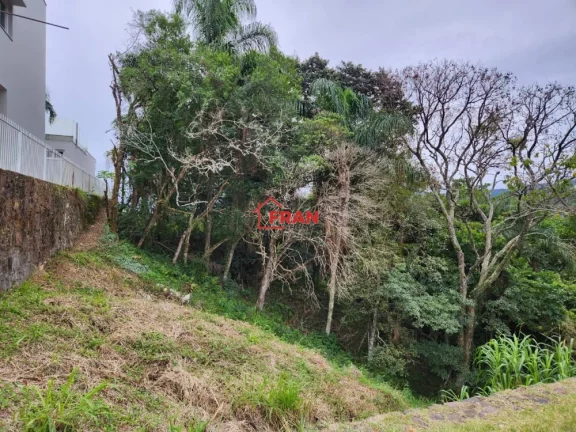 Imagem Excelente Terreno no Bairro Córrego Grande.