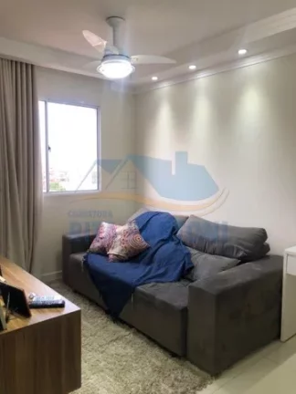 Imagem Apartamento - Ribeirão Preto - Monte Alegre - Região Oeste