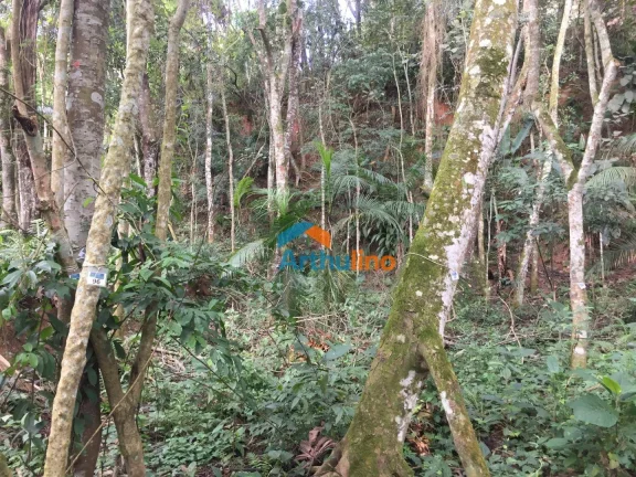 Imagem Terreno à venda, 1571 m² por R$ 450.000,00 - Chácara Represinha - Cotia/SP