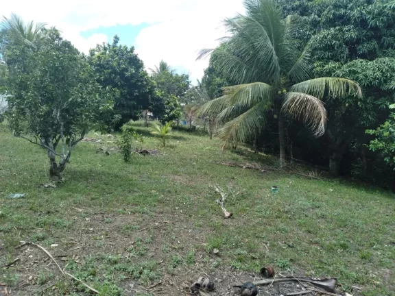 Imagem Terreno de 2.800m² à venda, localizado em Chã de Onça, Paudalho - Pernambuco.