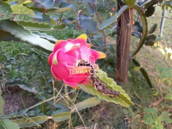 Imagem CASA COM 3 DORMITÓRIOS EM BAIRRO NOBRE NA CIDADE DE ATIBAIA.