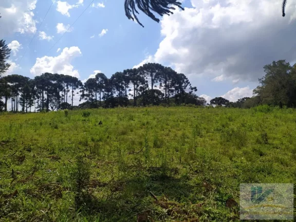 Imagem Terreno para Venda em São José dos Pinhais, Contenda, 1 dormitório