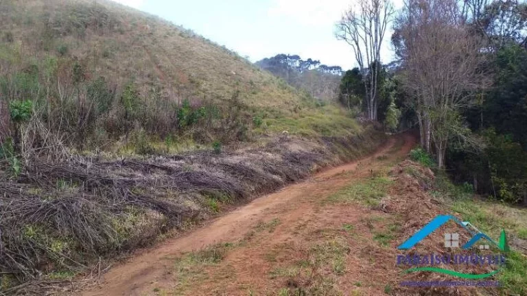 Imagem Paraíso Ecológico na Serra da Mantiqueira: Fazenda com 38,72 hectares!