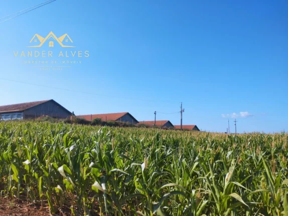 Imagem SITIO COMERCIAL em MARECHAL CÂNDIDO RONDON - PR, Zona rural