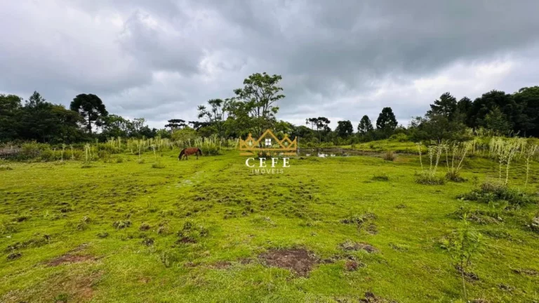 Imagem Chácara - Sítio com 1 Dormitorio(s) localizado(a) no bairro Serra Grande em Três Coroas / RIO GRANDE DO SUL Ref.:1602