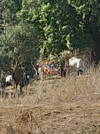 Imagem Sítio à venda no bairro BRUMADO - Mogi Mirim/SP
