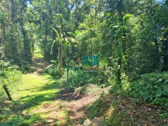 Imagem AREA DE FRENTE PARA A RODOVIA OSWALDO CRUZ (6 KM DO CENTRO)