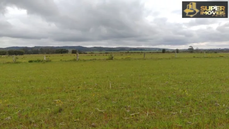 Imagem Fazenda Espetacular no Capão do Leão-RS próximo de Pelotas