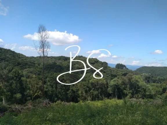 Imagem SITIO RURAL em IGREJINHA - RS, Serra Grande