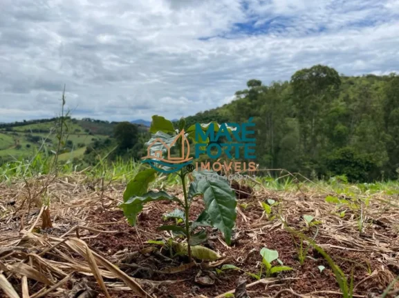 Imagem Oportunidade Sitio correspondente a Área de 5.62.48ha, sendo 56.200 m2 em Santa Rita do Sapucaí MG