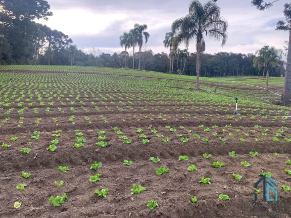 Imagem Terreno LIMPO plano 21.000 mil m², a venda no Umbará em Curitiba - PR