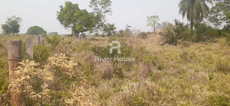 Imagem Charmoso sítio à venda em Olho d'Água, Municipio de Sto Antonio Leverger MT