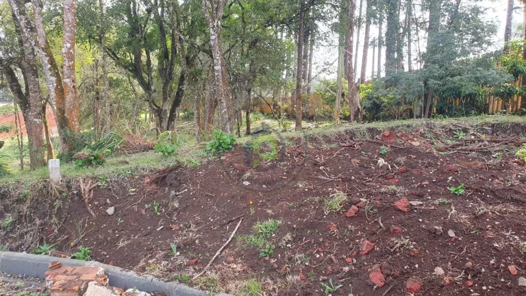 Imagem RESIDÊNCIA EM CONDOMÍNIO DE CHACARAS, À VENDA, COM