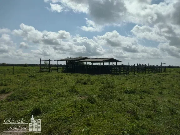Imagem FAZENDA A VENDA NO RURAL MARGEM DO RIO CAMARÁ