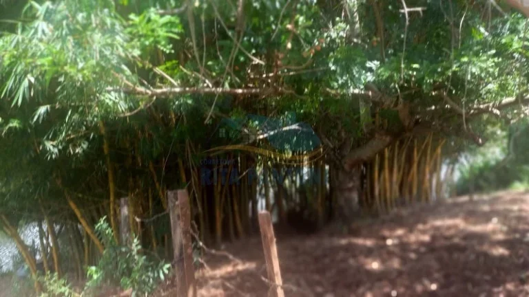 Imagem Rancho - Santo Antônio da Alegria - Poção
