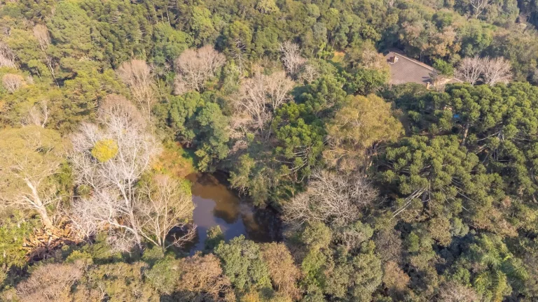 Imagem Chácara 99.615m² no Rondinha - Campo Largo