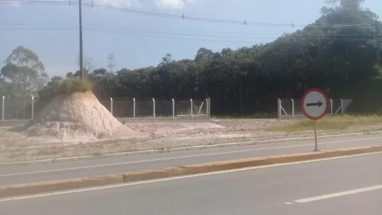 Imagem Área, 11447 m² - venda por R$ 3.300.000,00 ou aluguel por R$ 10.297,00/mês - Palmeiras de São Paulo - Suzano/SP