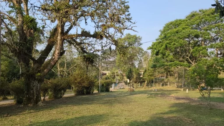Imagem Chácara com 4 dormitórios à venda, 40000 m² por R$ 1.250.000,00 - Quinta Divisão - Suzano/SP