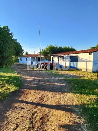 Imagem Fazenda de com 20 hectares produzindo e com Infraestrutura, CASA NOVA - BA
